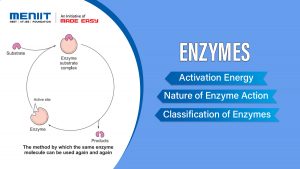 Enzymes
