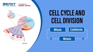 Cell Cycle And Cell Division