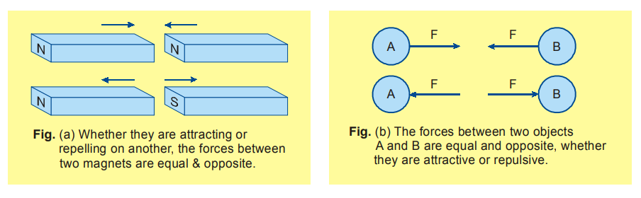 newtons 3rd law